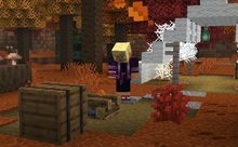 Wilderness Bound Arrives on 15 September